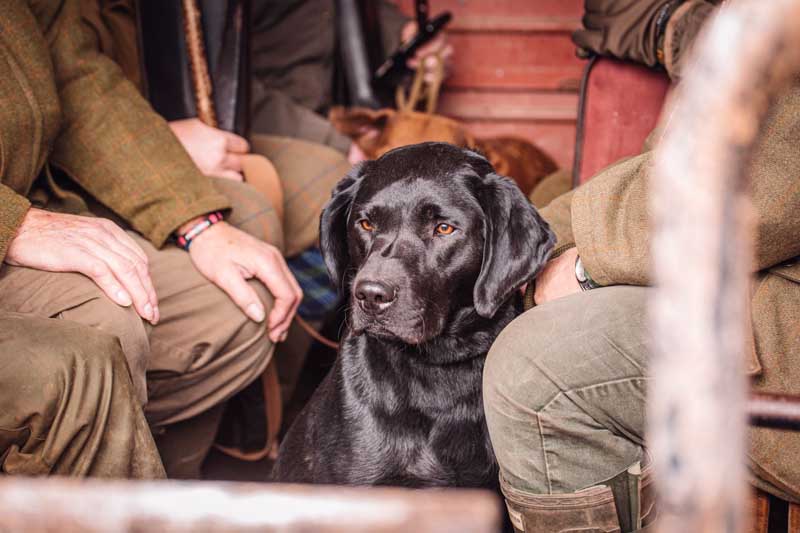 BASC Fenland Wildfowlers-133low