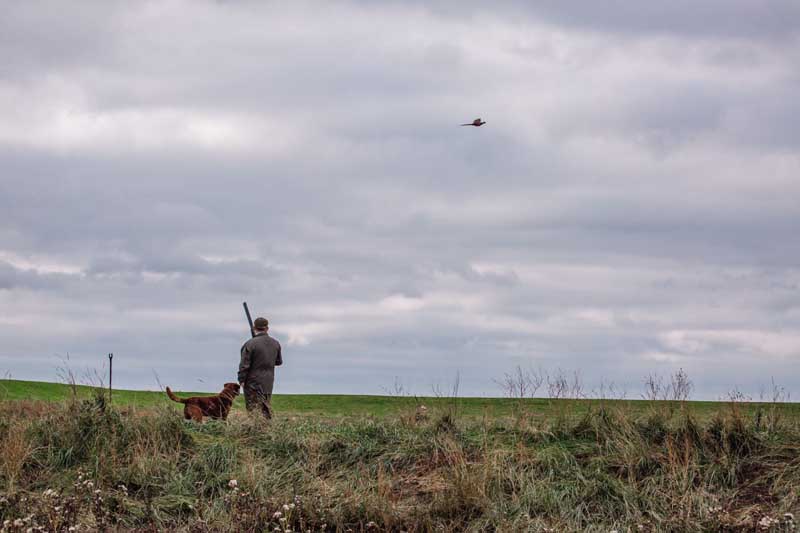 BASC Fenland Wildfowlers-156low