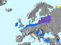 whitefrontmap